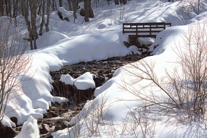 neve, inverno, ponte, ruscello, ponticello, torrente, alberi, bianco, fiume