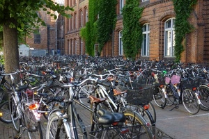 biciclette, finestre, alberi, verde, parcheggio, strada, ruote, albero, palazzo, piante