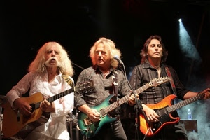 trio, chitarre, musicisti, cantanti, baffi, musica, capelli, tre, microfono, chitarra, concerto, gruppo, verde, luce, band, luci, basso, complesso, chitarristi