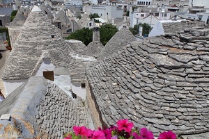 trulli, tetti, fiori, alberobello, verde, case, tegole, comignoli, pietra, alberi, coni, grigio, panorama, trullo, puglia, rosa